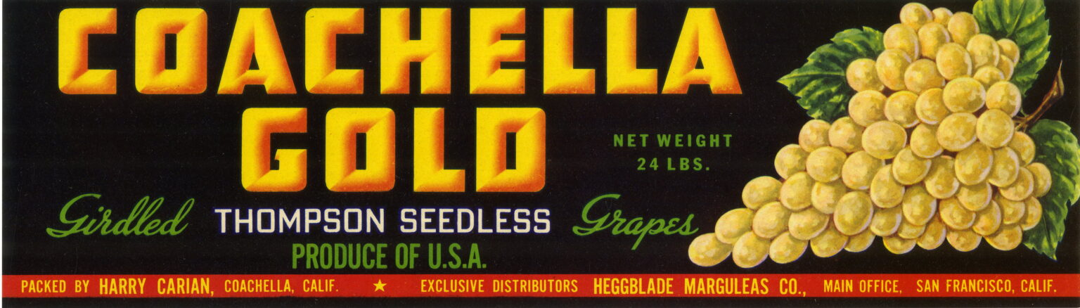 Coachella Gold Coachella Gold